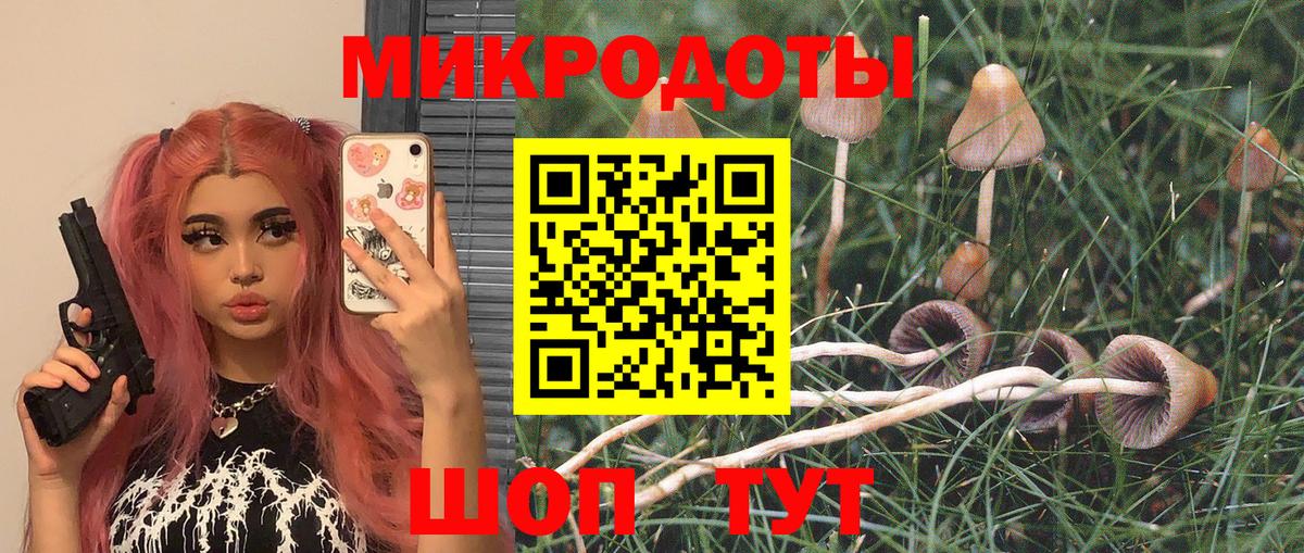 Псилоцибиновые грибы мухоморы Москва