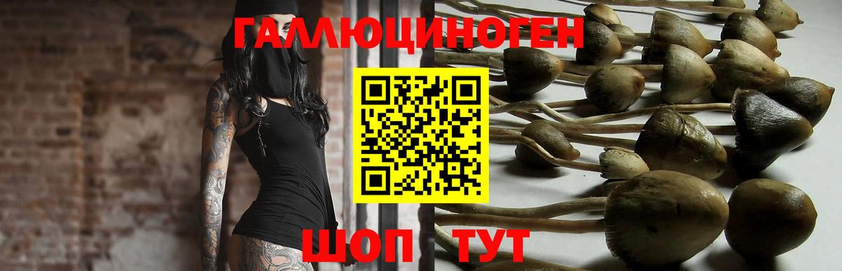 Галлюциногенные грибы мицелий  Вход с VPN  Москва 